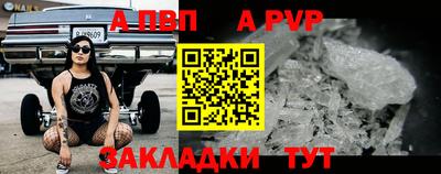 гашик Тара