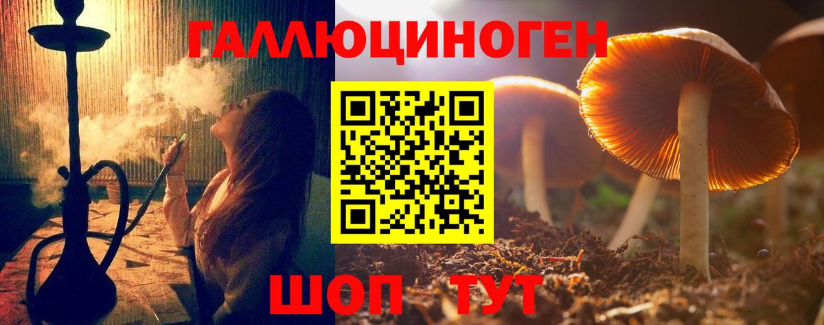 Псилоцибиновые грибы GOLDEN TEACHER Осинники